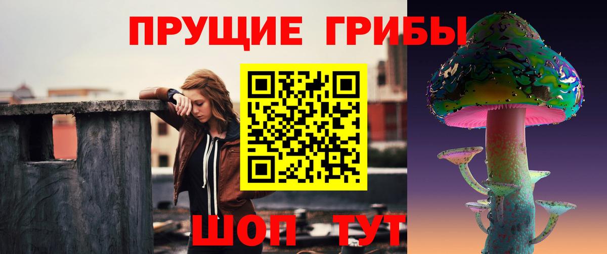 Псилоцибиновые грибы мицелий Славгород